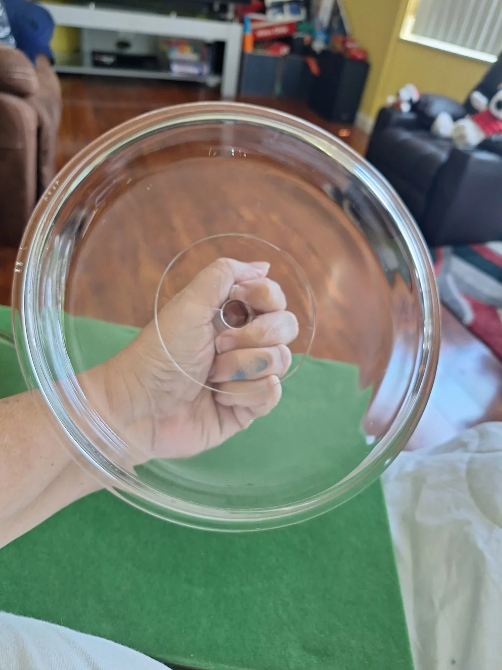 Pryex Clear Glass Lid with Knob 38Pyrex624C
